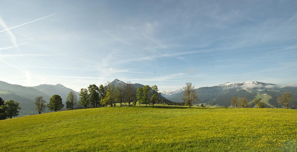 Chalet Winterbauer Villa Flachau Exterior photo