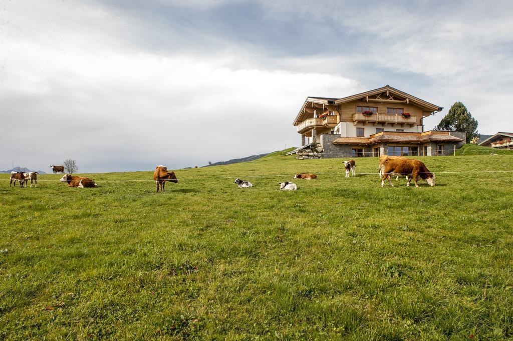 Chalet Winterbauer Villa Flachau Exterior photo