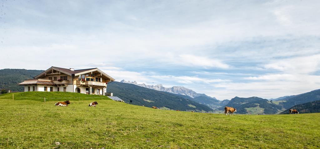 Chalet Winterbauer Villa Flachau Exterior photo