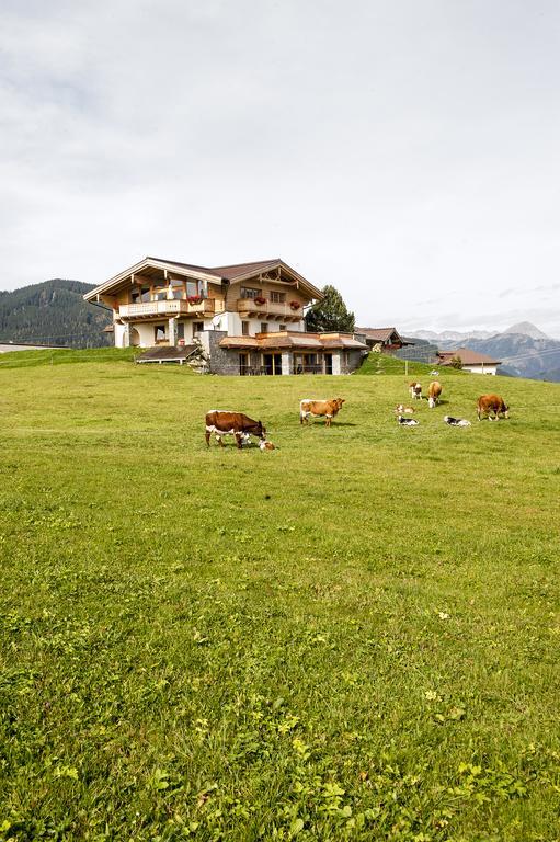 Chalet Winterbauer Villa Flachau Exterior photo